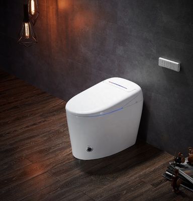 Toilette écologique intelligente automatique intelligente tout en un OEM ODM Massage lavage multi-fonction style de conception moderne pour la salle de bain