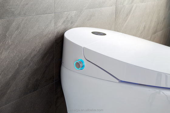 Bâtiment de bureaux de luxe basse citerne Eco Smart automatique toilettes intelligentes avec réglable la température et les caractéristiques techniques
