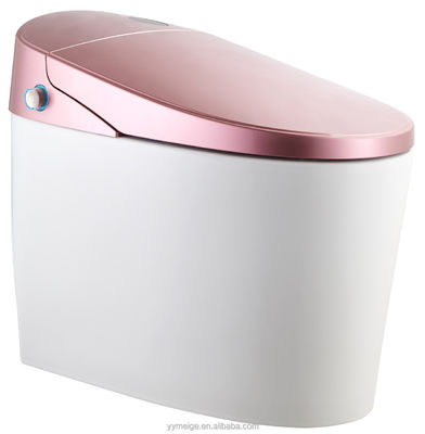 Découvrez le confort ultime avec un design moderne Eco Smart Automatique Intellectuel Toilette chauffé Siège et séchoir à air chaud