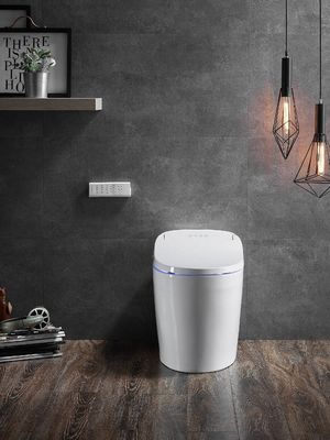 Toilette en une pièce avec écoulement automatique de l'eau chaude et le mode arrière sec Eco Smart Toilette intelligente automatique Tout en un Toilette OEM
