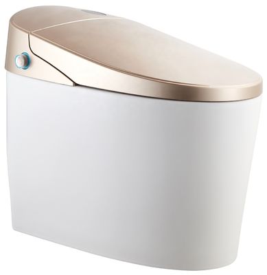 Mise à niveau vers une toilette intelligente de conception moderne Eco Smart automatique 4.8L Flushing débit Facile installation bricolage