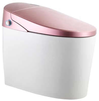 Mise à niveau vers une toilette intelligente de conception moderne Eco Smart automatique 4.8L Flushing débit Facile installation bricolage