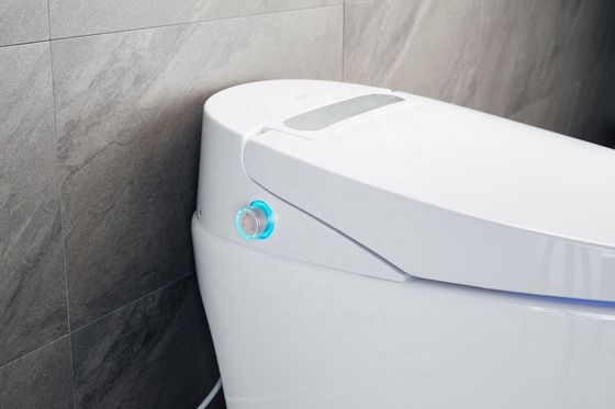 Toilette à deux battants chauffée en une seule pièce avec un luxe multifonctionnel intégré et une conception automatique intelligente