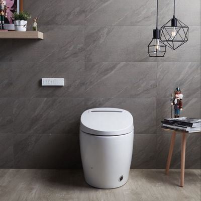 Toilette à deux battants chauffée en une seule pièce avec un luxe multifonctionnel intégré et une conception automatique intelligente